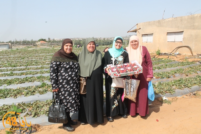 a7bab aqsa farawla (24).JPG